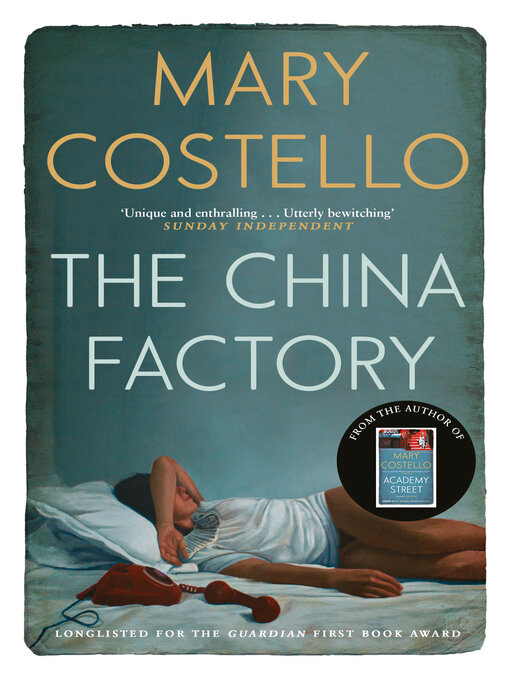 Title details for The China Factory by Mary Costello - Wait list